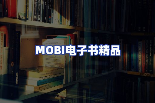 外文电子书产品