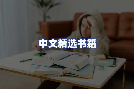 中文精选书籍